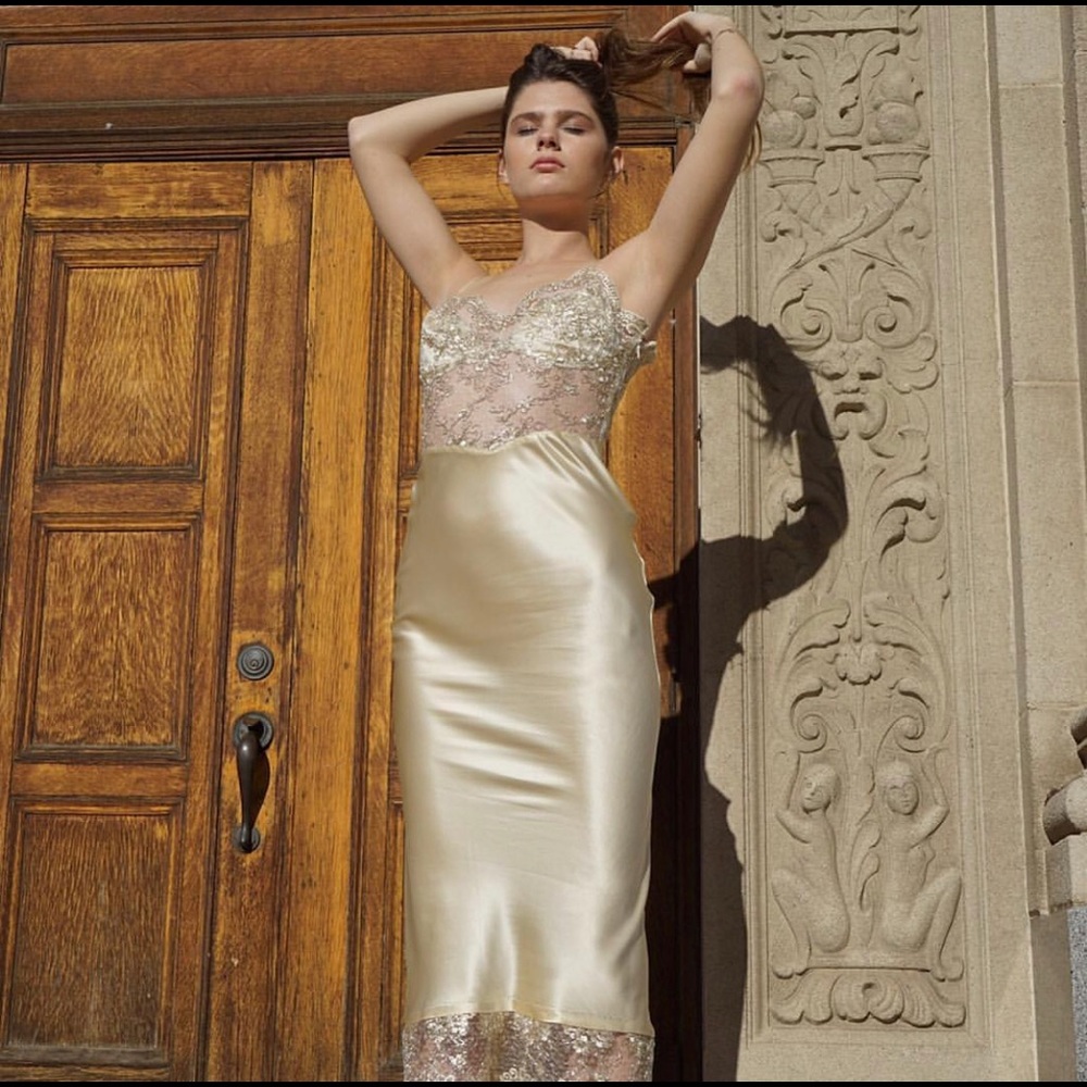 Cloudhunter champagne silk gold lace midi dress